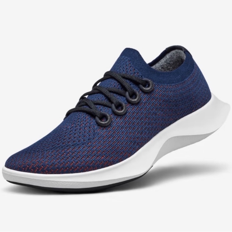 Allbirds Tree Dasher Sneakers